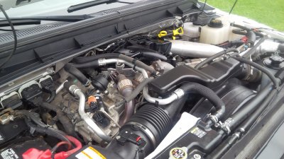 IMG_20140821_180938.jpg