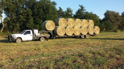 Hauling_hay_2014.jpg