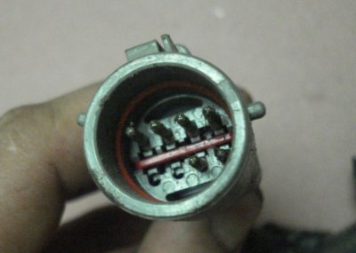 plug.JPG plug.JPG