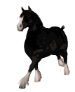 horse.gif