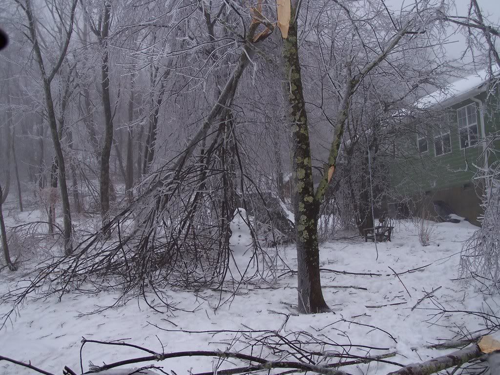 000_0104.jpg