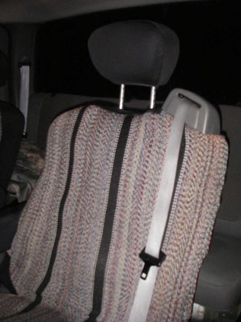 IMGP0503.jpg