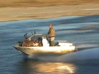 8_23_20078_18PM_0001.jpg
