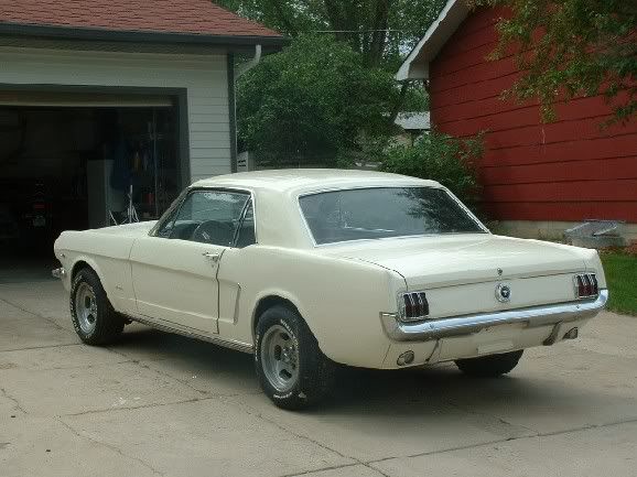 stang3.jpg