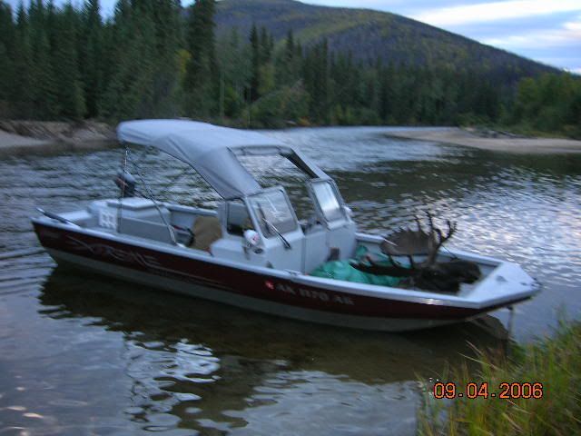 Moose010.jpg
