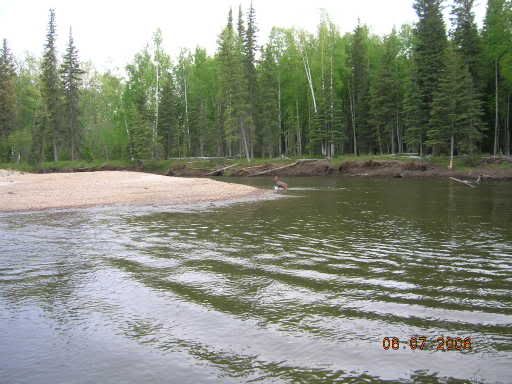 RiverRunning003.jpg