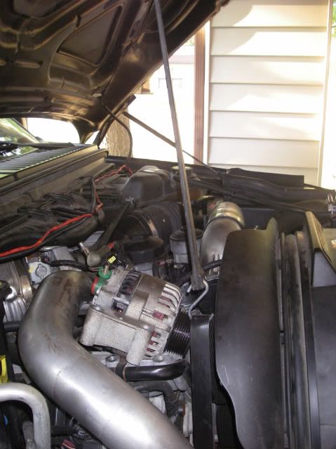 IMGP0062.jpg