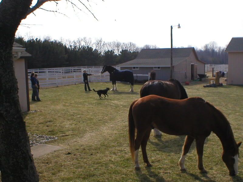 P1010038.jpg