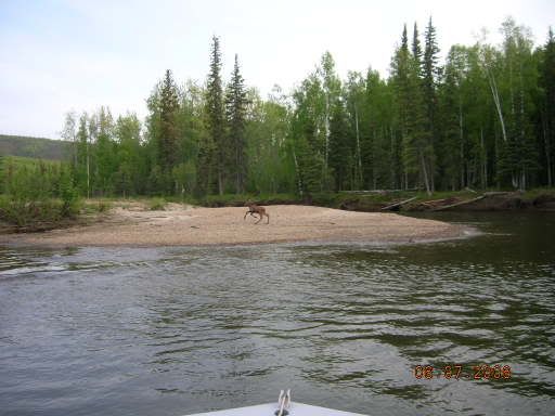 RiverRunning004.jpg