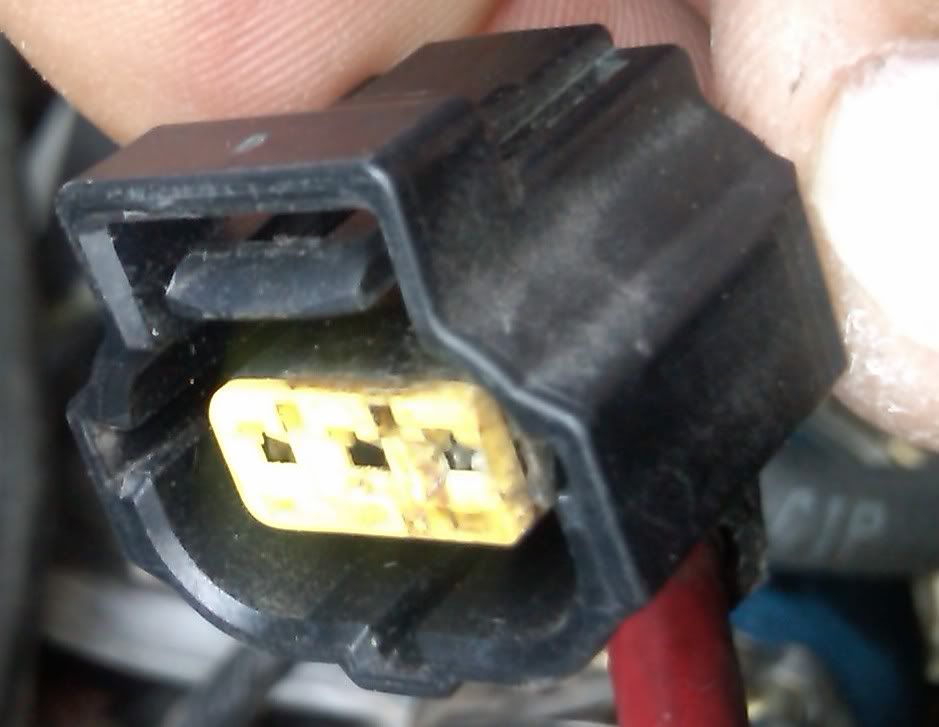 F350Alternatorconnector.jpg
