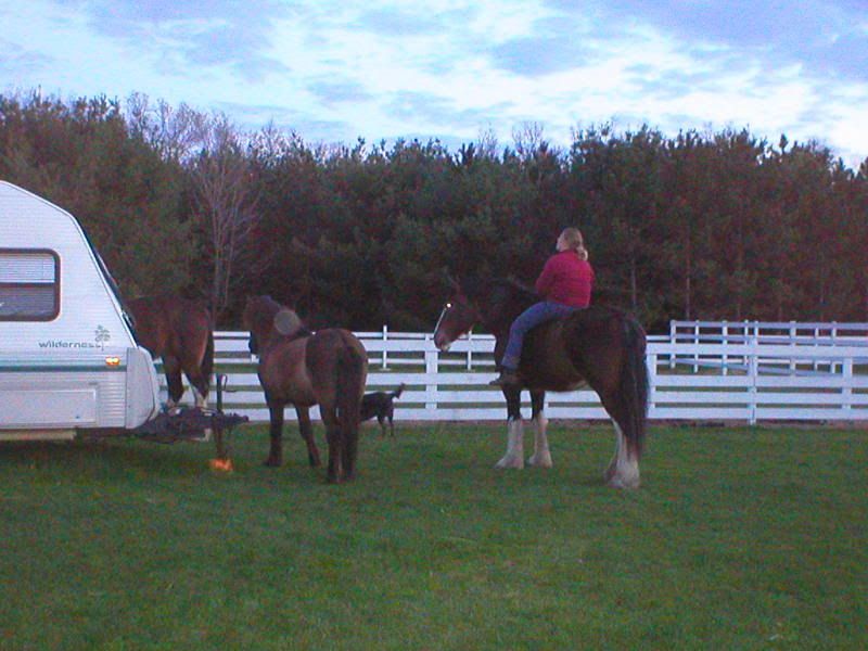 P1010039.jpg