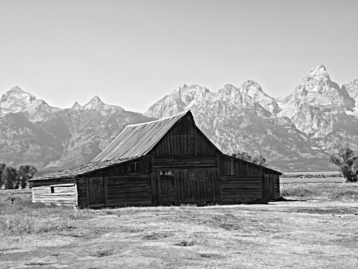 DSCF0546.jpg