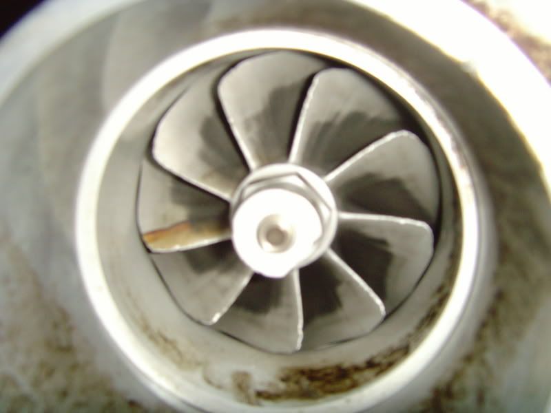 SNV30636.jpg
