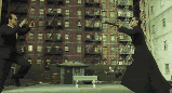 neofight13jt.gif
