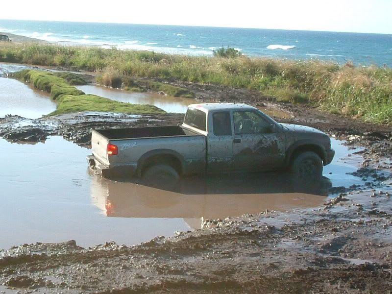 muddin13feb05012.jpg