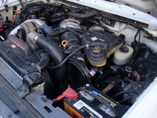 DSC04024.jpg