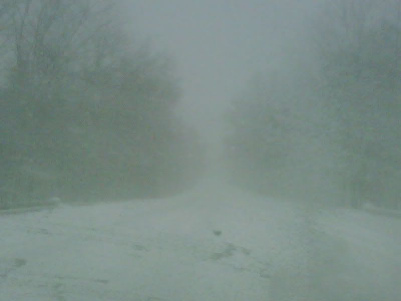 IMG00271-20091220-08322.jpg