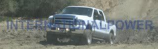 IMG222copy.jpg