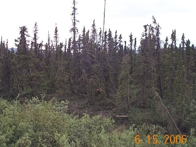 HaulRoad006.jpg