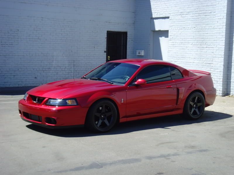 tint002.jpg