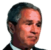 Bush-BushShakingHead.gif
